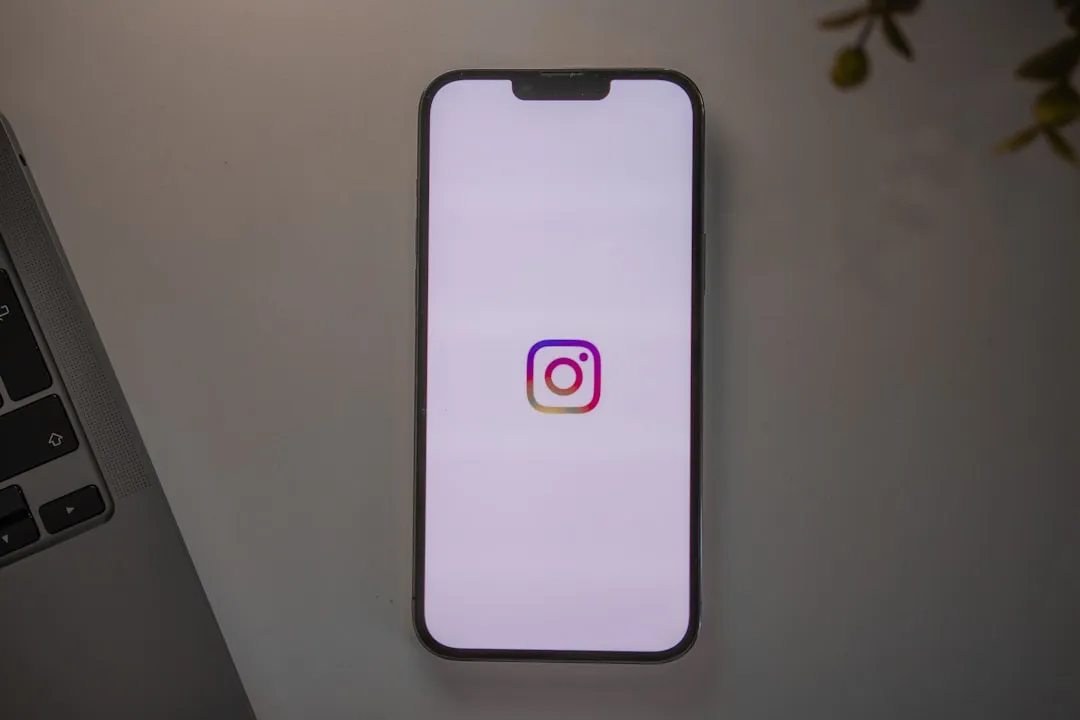 Instagram-Datenschutzeinstellungen Interface